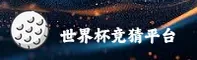 使用指南与常见问题